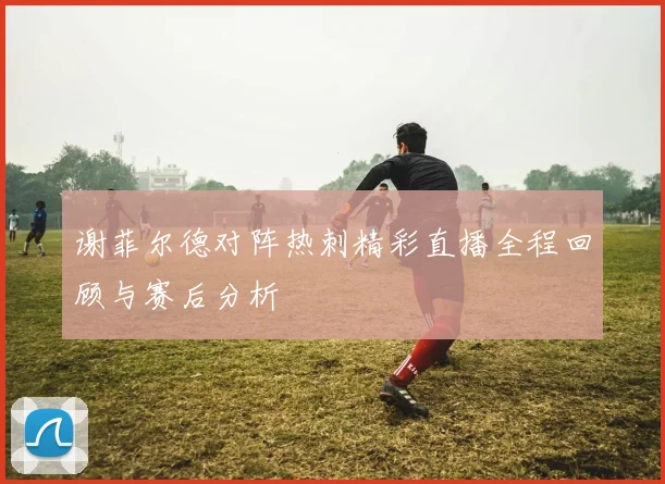 谢菲尔德对阵热刺精彩直播全程回顾与赛后分析