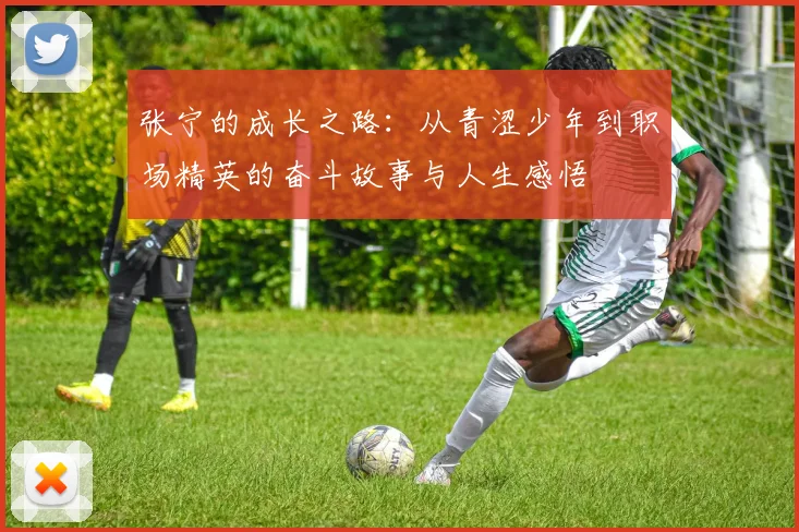 张宁的成长之路：从青涩少年到职场精英的奋斗故事与人生感悟