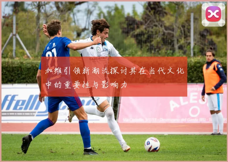 加维引领新潮流探讨其在当代文化中的重要性与影响力