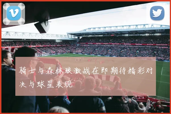 骑士与森林狼激战在即期待精彩对决与球星表现